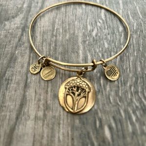 Alex and Ani Tree of Life bracelet